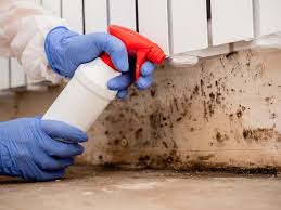 Best Asbestos and Lead Testing During Mold Inspection  in Miami Springs, FL